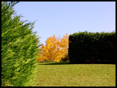 primi segni d''autunno